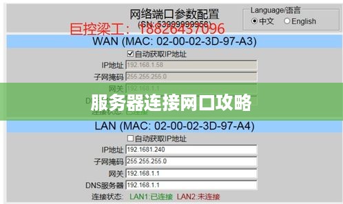 服务器连接网口攻略