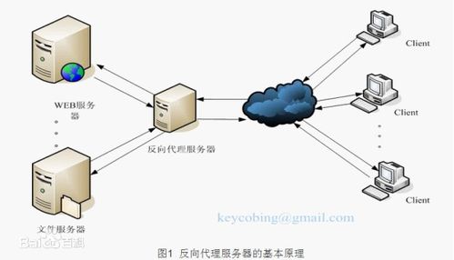 服务器定制软件推荐，优中选优，满足不同需求