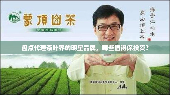 盘点代理茶叶界的明星品牌，哪些值得你投资？
