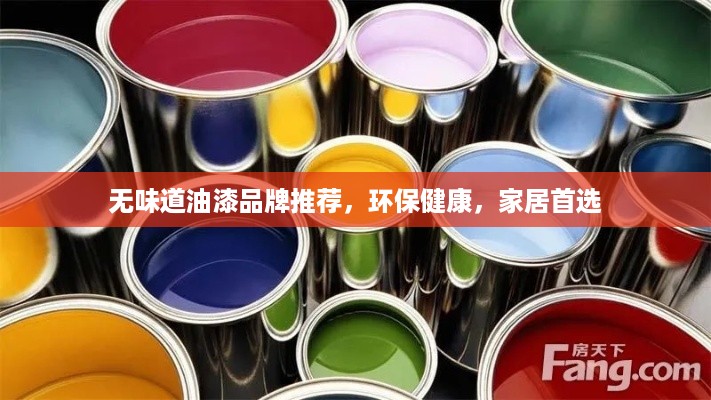 无味道油漆品牌推荐，环保健康，家居首选