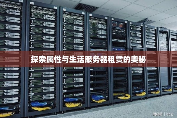 探索属性与生活服务器租赁的奥秘