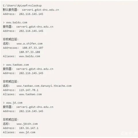 启动DNS服务器，使用哪些命令