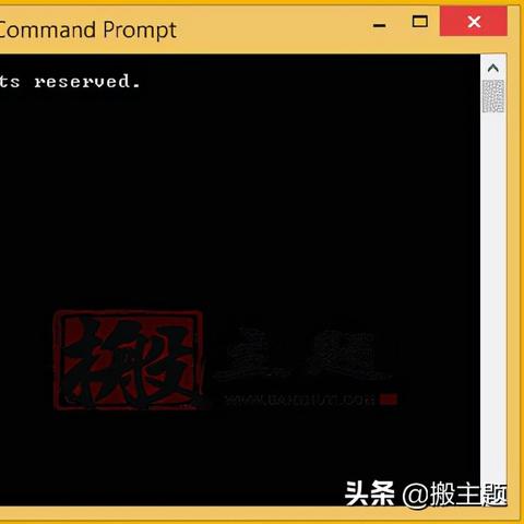 启动DNS服务器，使用哪些命令