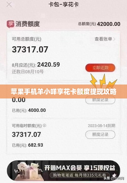 苹果手机羊小咩享花卡额度提现攻略