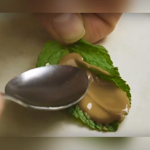 盘点冷冻蛋糕界的明星品牌，让你的味蕾享受冰凉甜蜜！