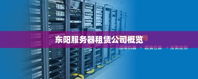 东阳服务器租赁公司概览