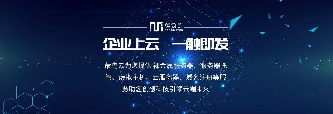 东阳服务器租赁公司概览