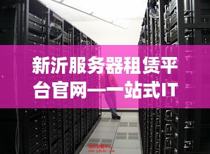新沂服务器租赁平台官网—一站式IT服务解决方案