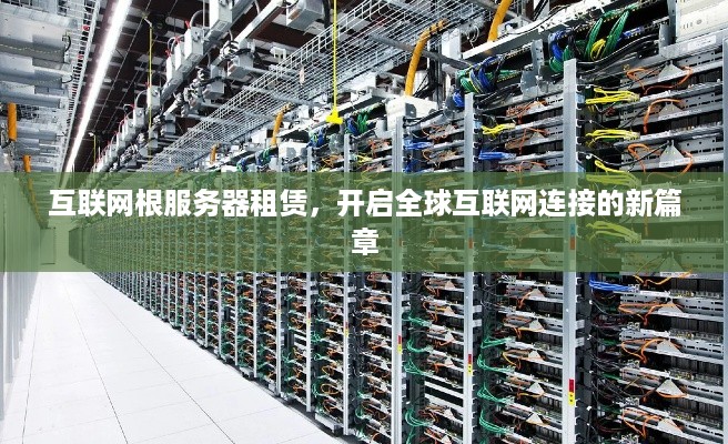 互联网根服务器租赁，开启全球互联网连接的新篇章