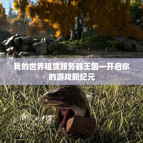我的世界租赁服务器王国—开启你的游戏新纪元