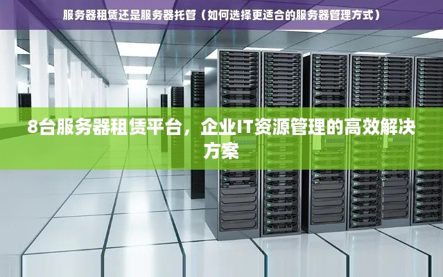 8台服务器租赁平台，企业IT资源管理的高效解决方案
