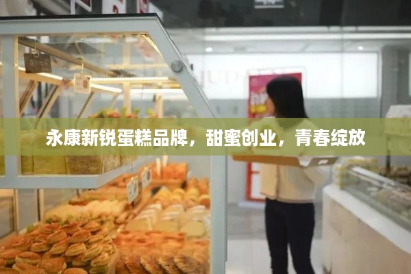 永康新锐蛋糕品牌，甜蜜创业，青春绽放