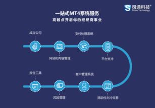 服务器租赁平台软件大揭秘—功能、优势与案例解析