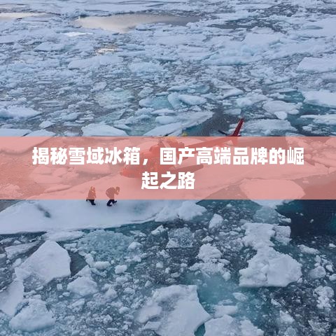 揭秘雪域冰箱，国产高端品牌的崛起之路