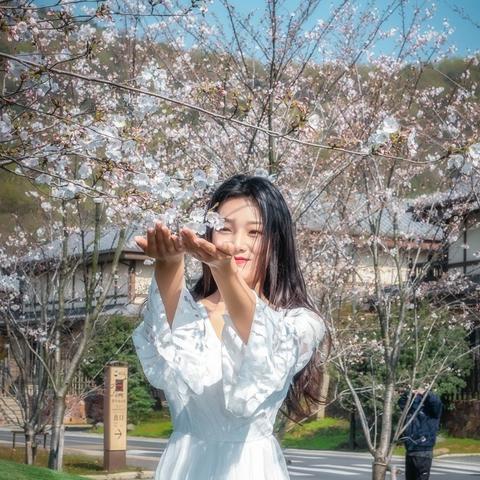 租赁服务器的光影问题解析