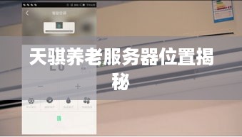天骐养老服务器位置揭秘