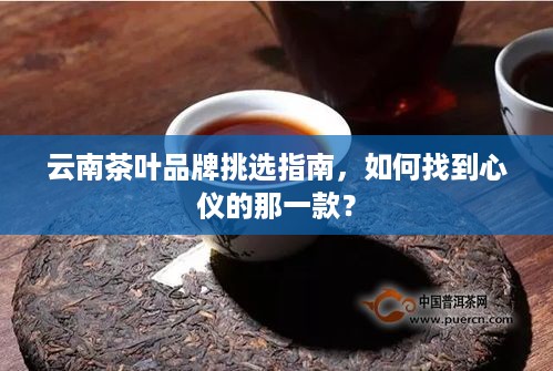 云南茶叶品牌挑选指南，如何找到心仪的那一款？