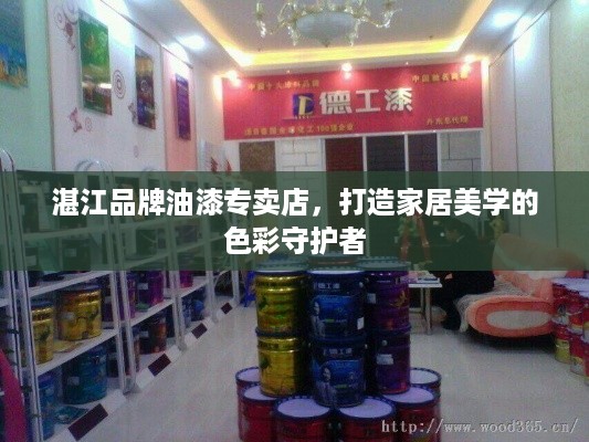 湛江品牌油漆专卖店，打造家居美学的色彩守护者
