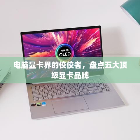 电脑显卡界的佼佼者，盘点五大顶级显卡品牌