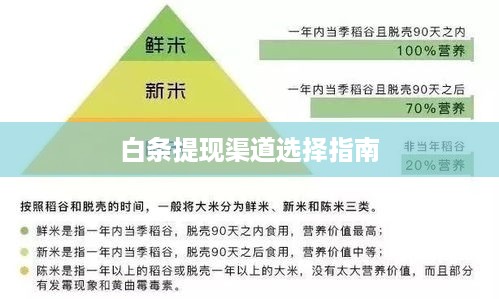 白条提现渠道选择指南