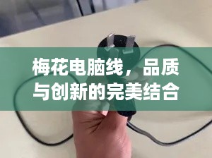 梅花电脑线，品质与创新的完美结合，电脑连接新选择
