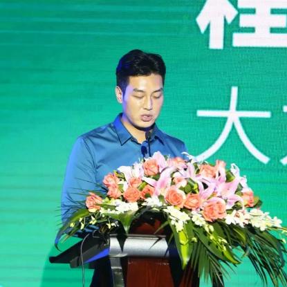 e5服务器租赁指南，如何选择合适的服务？