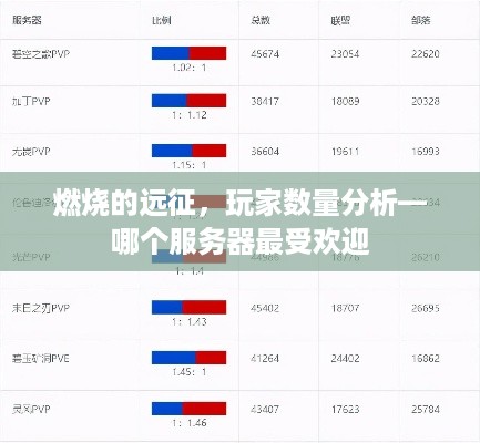 燃烧的远征，玩家数量分析—哪个服务器最受欢迎