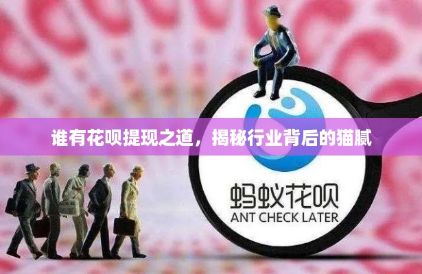 谁有花呗提现之道，揭秘行业背后的猫腻