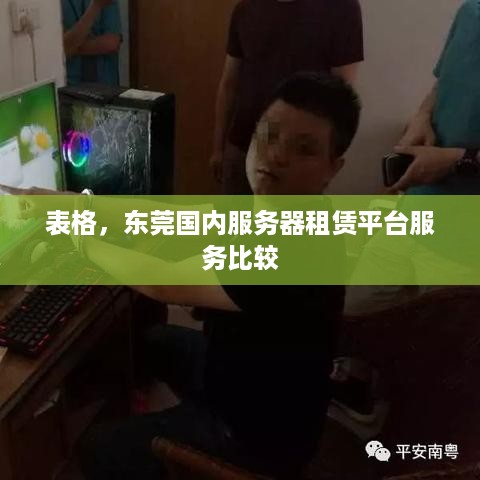 表格，东莞国内服务器租赁平台服务比较
