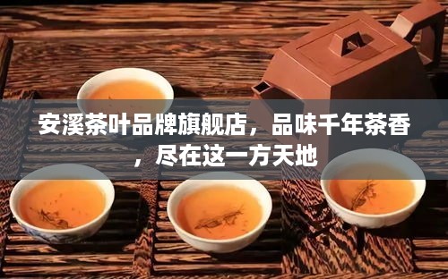 安溪茶叶品牌旗舰店，品味千年茶香，尽在这一方天地