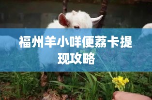 福州羊小咩便荔卡提现攻略