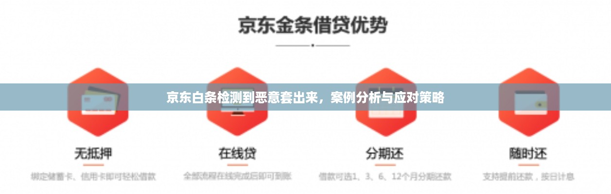 京东白条检测到恶意套出来，案例分析与应对策略