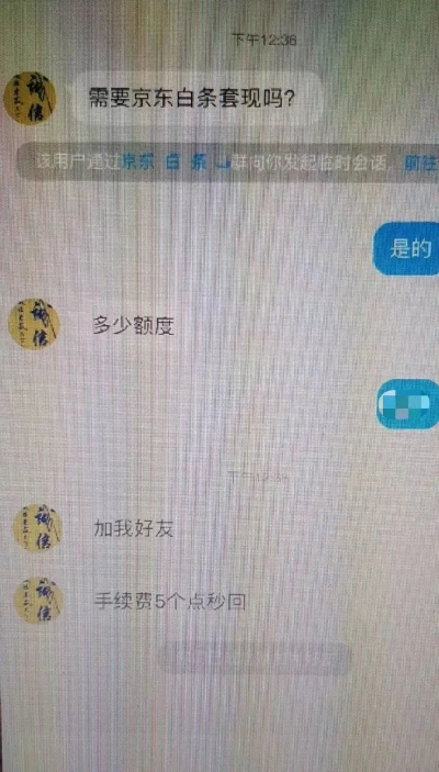 京东白条检测到恶意套出来，案例分析与应对策略