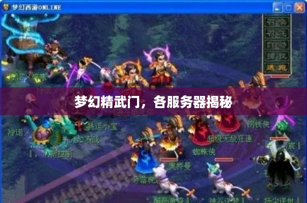 梦幻精武门，各服务器揭秘