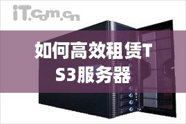 如何高效租赁TS3服务器