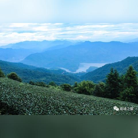 烂茶叶品牌项链搭配裙子，打造独特时尚风潮！