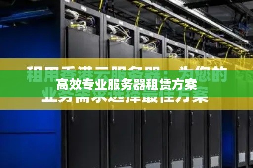 高效专业服务器租赁方案