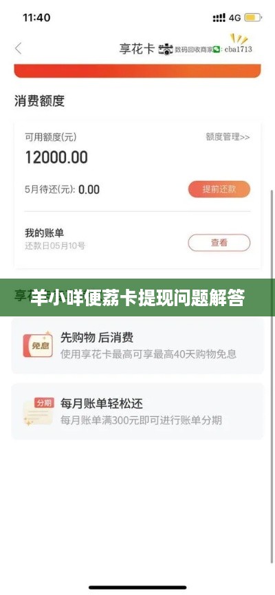 羊小咩便荔卡提现问题解答