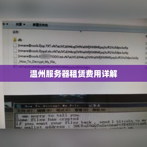 温州服务器租赁费用详解