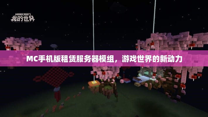 MC手机版租赁服务器模组，游戏世界的新动力