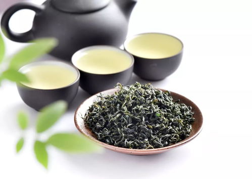 揭秘三大品牌绿茶，品质、口感与文化的完美融合