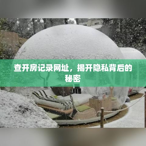 查开房记录网址，揭开隐私背后的秘密