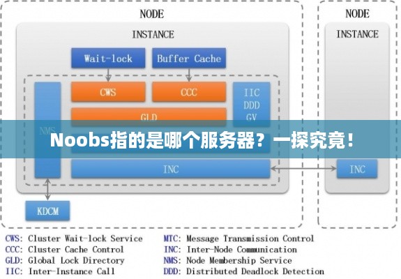 Noobs指的是哪个服务器？一探究竟！