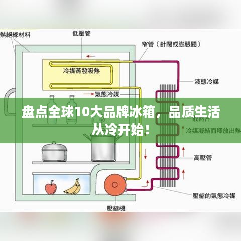 盘点全球10大品牌冰箱，品质生活从冷开始！