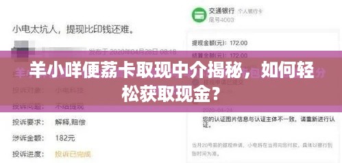 羊小咩便荔卡取现中介揭秘，如何轻松获取现金？