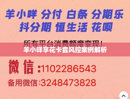 羊小咩享花卡套风控案例解析