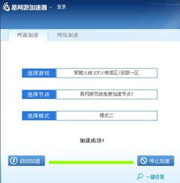 辽宁网络服务器租赁，企业成长的加速器