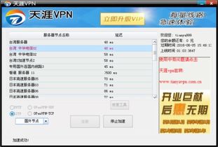 辽宁网络服务器租赁，企业成长的加速器