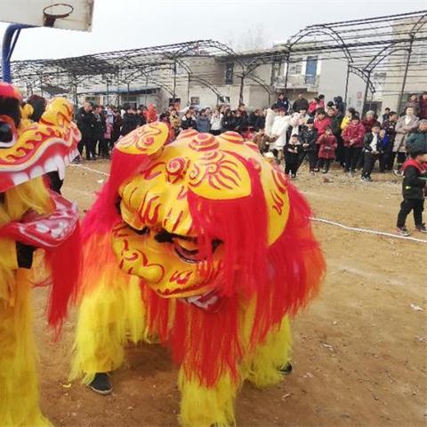 开封尉氏舞蹈集训，传承经典，铸就舞蹈新秀的摇篮