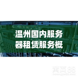 温州国内服务器租赁服务概览